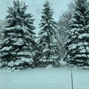 Meet your Posher, Carly